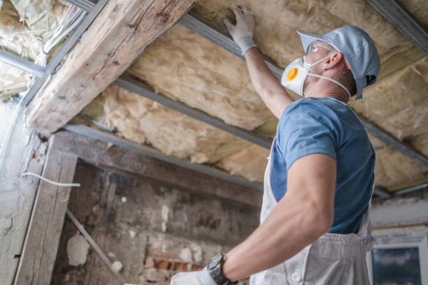 Best Blown-in Insulation in Bellefonte, DE