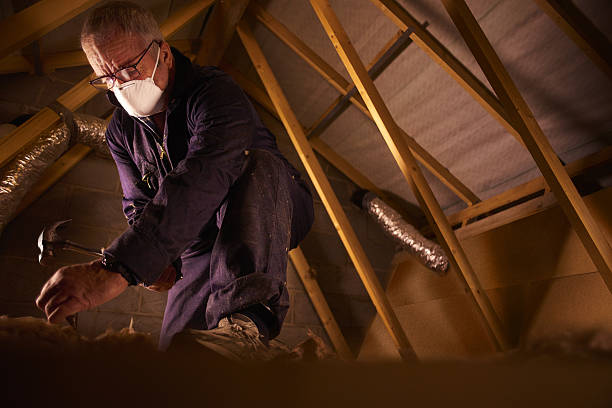 Types of Insulation We Offer in Bellefonte, DE